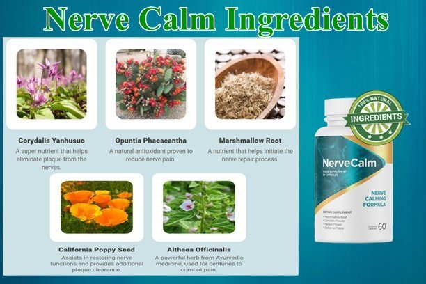 Nerve Calm Ingredients